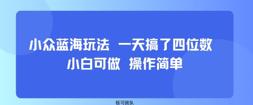 小众蓝海玩法 一天搞了四位数 小白可做 操作简单-优优云网创