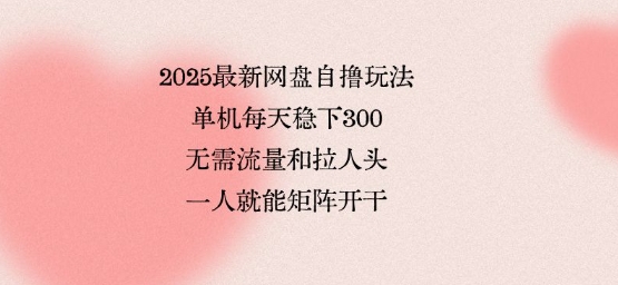 2025最新网盘自撸玩法,单机每天稳下3张,无需流量和拉人头,一个人就可轻松矩阵,全网独一份【揭秘】-优优云网创