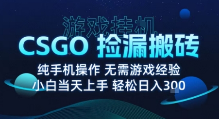 8月最新游戏搬砖,CSGO纯挂G,不需要玩游戏,实现真挂G,月入1W+【揭秘】-优优云网创
