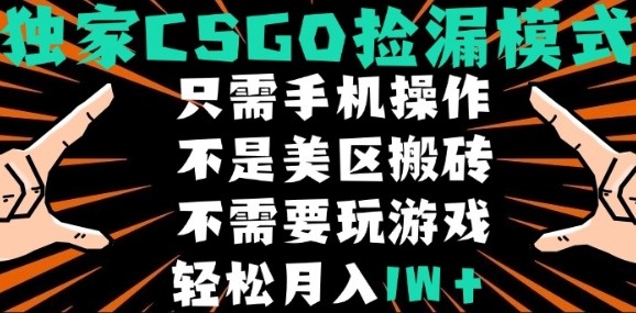 CSGO自动捡漏项目,最新独家玩法,不是美区搬砖,不需要了解和玩游戏,新手小白轻松月入1W+【揭秘】